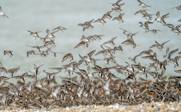 Integrative Heilarbeit